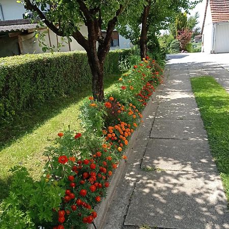 Apartman Skudar Bjelovar Ngoại thất bức ảnh