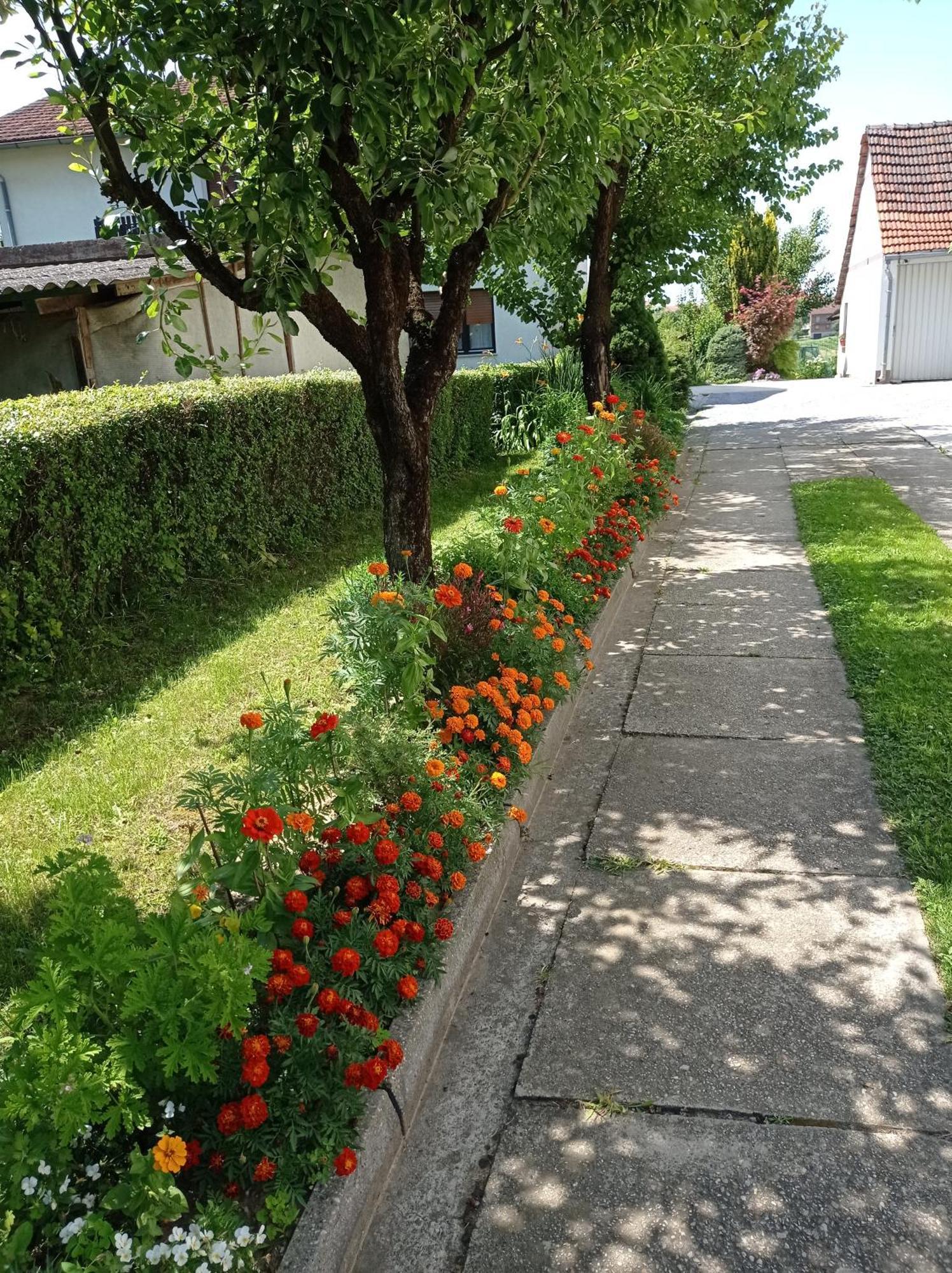 Apartman Skudar Bjelovar Ngoại thất bức ảnh