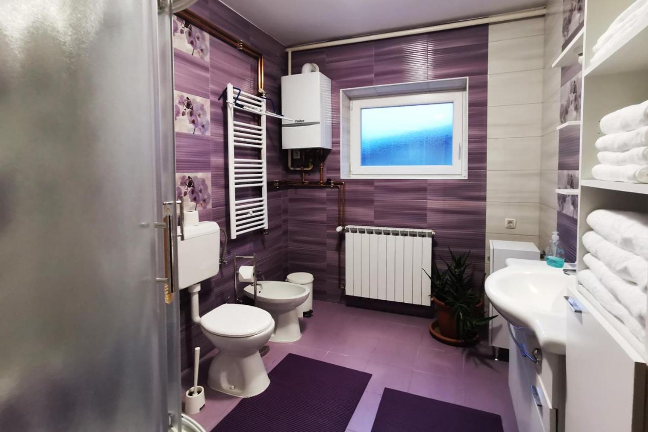 Apartman Skudar Bjelovar Ngoại thất bức ảnh